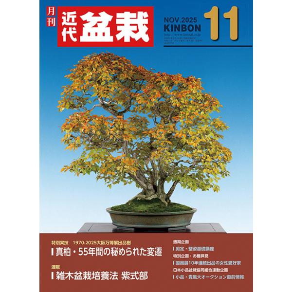 月刊「近代盆栽」2025年11月号　初心者からベテラン愛好家まで、見やすく内容充実の盆栽総合誌!! 盆栽 近盆 kinbon bonsai 月刊誌 趣味の雑誌 送料無料