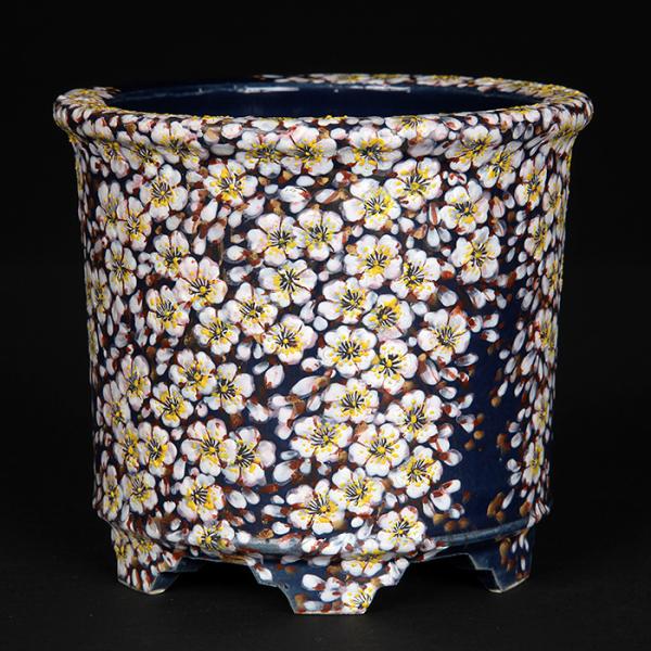 六代渋草柳造浮絵桜図丸鉢 盆栽鉢 鉢 植木鉢 盆器 作家鉢 bonsaipot
