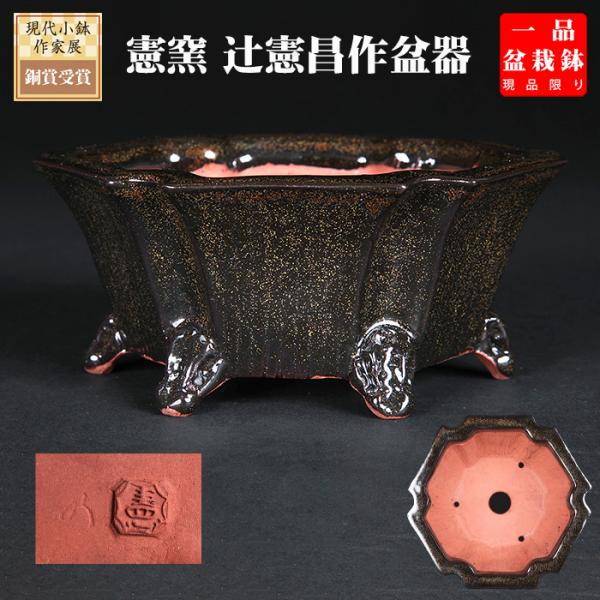 サバの実紋の六方鉢盆栽 工芸品 美術品 置物 黎鳳六角鉢 | 盆栽、盆栽書籍、盆栽鉢の通販│近代出版