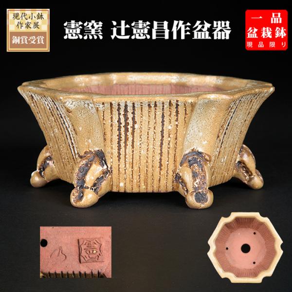 盆栽鉢 「憲窯白釉六角鉢」 植木鉢 辻憲昌 ケンヨウ 色鉢 陶器