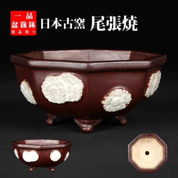 盆栽鉢 「尾張紫釉貼花文八角鉢」植木鉢 瀬戸 磁器物 6号 18cm 紫