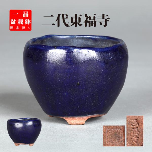 盆栽鉢 二代東福寺瑠璃釉丸鉢 植木鉢 平安東福寺 水野勇 落款あり