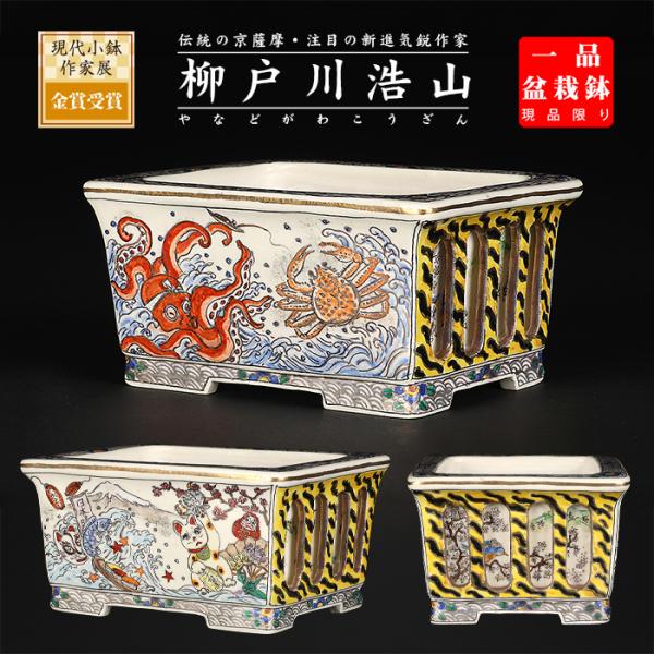 盆栽鉢 柳戸川浩山日本文化図透入長方鉢 絵付鉢 手造り 手描き 4号