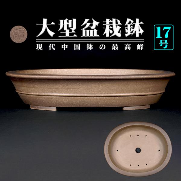 盆栽鉢 烏泥外縁胴紐楕円鉢 植木鉢 中国鉢 張氏製陶 落款あり 17号