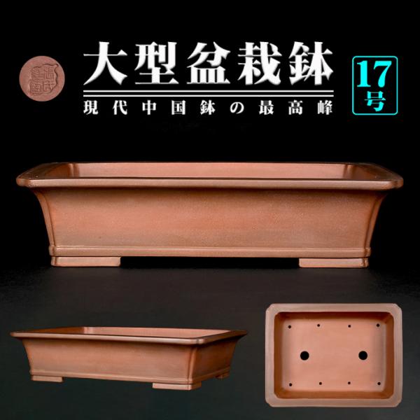 時代　蕎麦釉　紫泥 外縁長方鉢　水仙盆 盆栽鉢 紫泥外縁下紐長方鉢 植木鉢 中国鉢 張氏製陶 落款あり 17