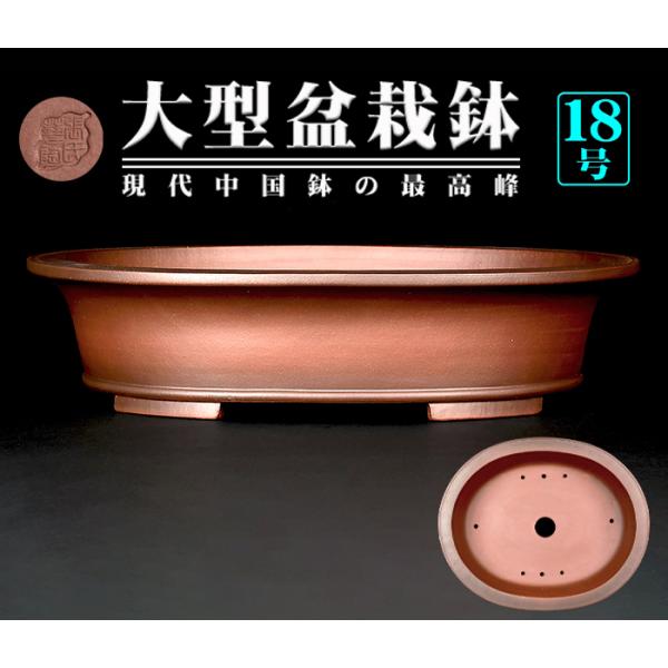 盆栽鉢 紫泥外縁下紐楕円鉢 植木鉢 中国鉢 張氏製陶 落款あり 18号