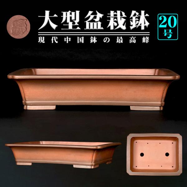 時代鉢 盆栽 鉢 植木鉢 特大 大型 62cm　古鉢　黒松 黒松（くろまつ）│盆栽、盆栽書籍、盆栽鉢の通販│近代出版