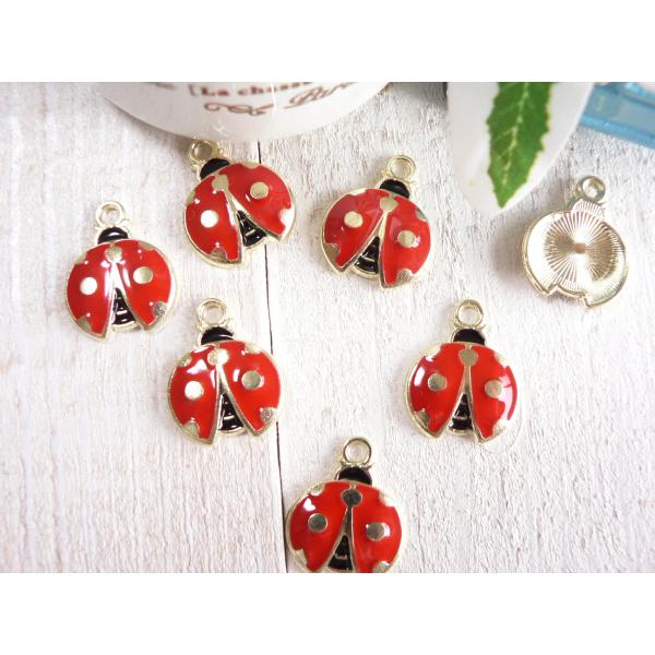 DoDo テントウムシチャーム 61cKE9vnckL._AC_UY1000_.jpg