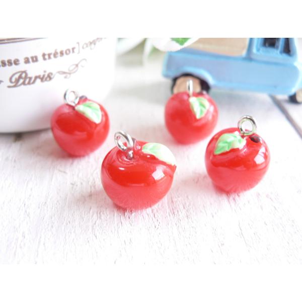 booboohouse_charm-972