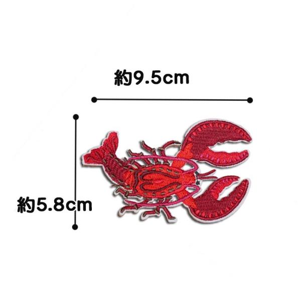 ザリガニ ロブスター アメリカザリガニ まっかちん ワッペン アイロンワッペン 生き物 Buyee Buyee Japanese Proxy Service Buy From Japan Bot Online