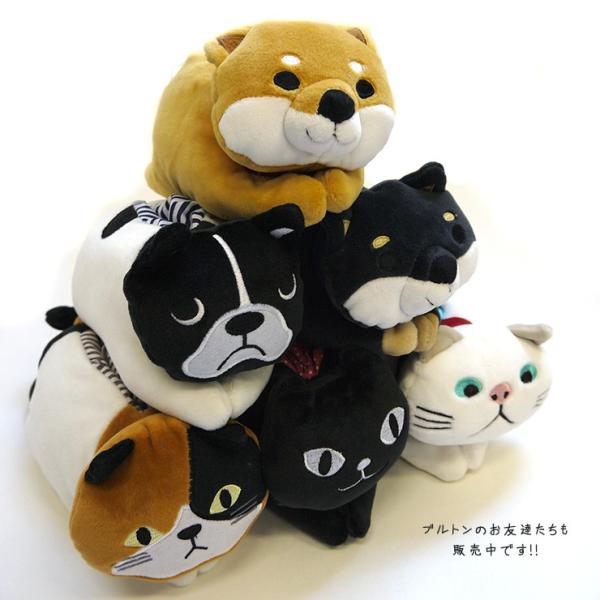 もちもちブルトン 犬 いぬ ブルドッグ もちふわ モチモチ フワフワ ポケットティッシュ ギフト プレゼント 贈り物 プチギフト 誕生日 結婚 出産 Buyee Buyee 日本の通販商品 オークションの代理入札 代理購入