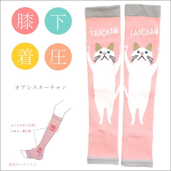着圧ソックス 靴下 ソックス オープントゥ ターチャン 白猫 ねこ 猫 かわいい むくみ ムクミケア 着圧 くつした すっきり ストレッチ Buyee Buyee Japanischer Proxy Service Kaufen Sie Aus Japan