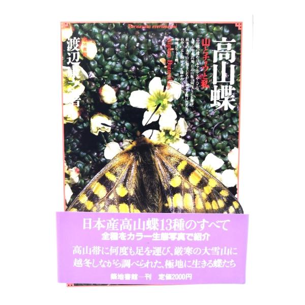 高山蝶: 山とチョウと私 (蝶蛾シリーズ 10)/渡辺 康之助 (著) /築地書館