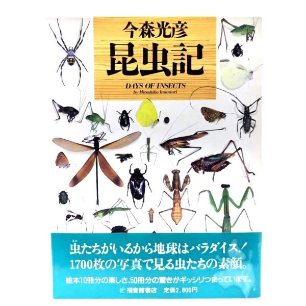 今森光彦 昆虫記/今森光彦 著/福音館書店