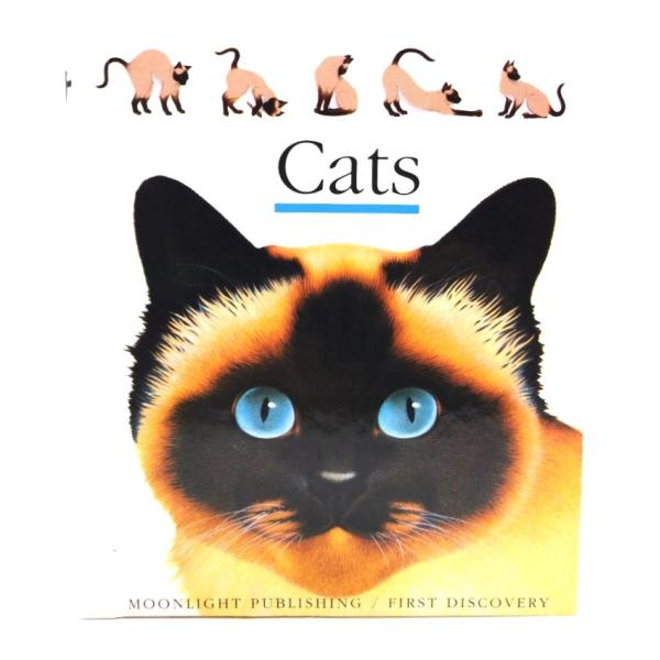 ・本の形態 : 単行本(英語)リング製本・本のサイズ ：19×16cm・ページ数 ：1冊(頁付なし)・発行年月日 ：1990年・ISBN ：9781851030842◆本の状態：非常に良い