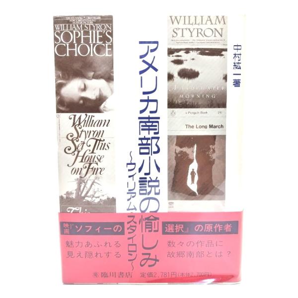 アメリカ南部小説の愉しみ―ウィリアム・スタイロン/ 中村 紘一 (著) /臨川書店