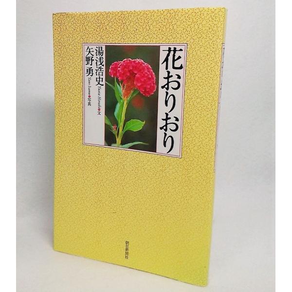 本の形態/新書ソフトカバー ページ数/166P発行年月日/2001年12月12日本のサイズ/17.5×11.5cm本の状態/天・地・小口に薄いシミ。表紙カバー、本文、写真図版良好。