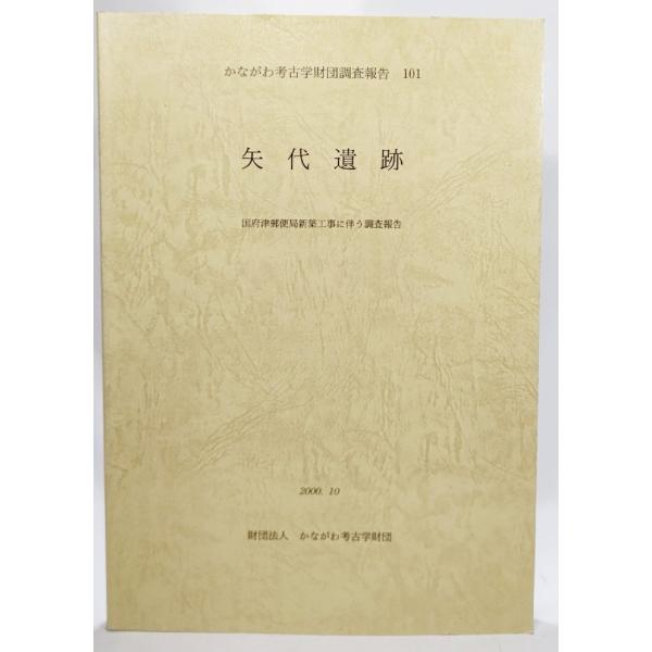 かながわ考古学財団調査報告　101 八代遺跡/かながわ考古学財団