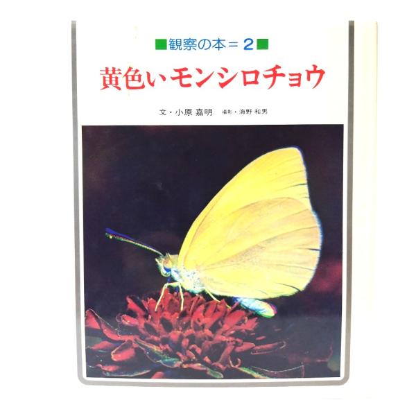 黄色いモンシロチョウ (観察の本 2) / 小原 嘉明 (文), 海野 和男 (撮影)/偕成社