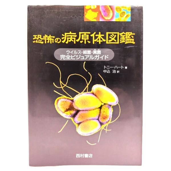 ・本の形態：単行本ソフトカバー・サイズ：21×15cm・ページ数：191p・発行年：2011年6月15日(初版第3刷)・初版年：2006年7月13日・ISBN ：9784890133499◆本の状態：良好上・表紙カバーに擦れあり。・本体、本...