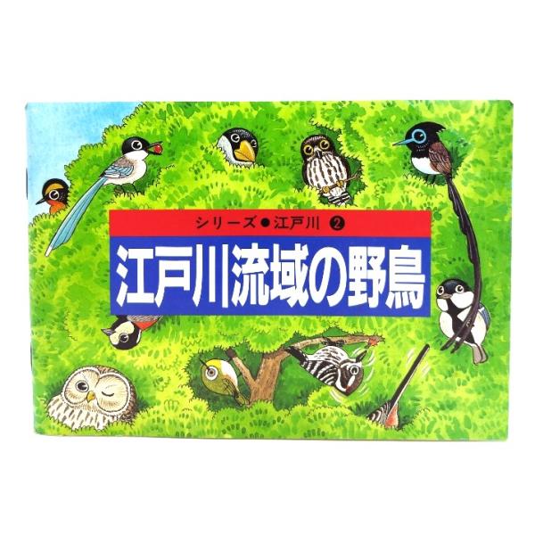 江戸川流域の野鳥(シリーズ・江戸川2)/自然通信