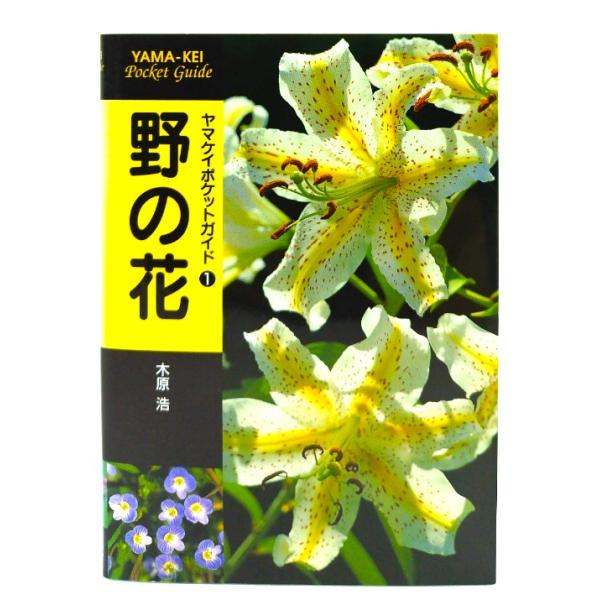 野の花 (ヤマケイポケットガイド)/ 木原 浩 (著) / 山と溪谷社
