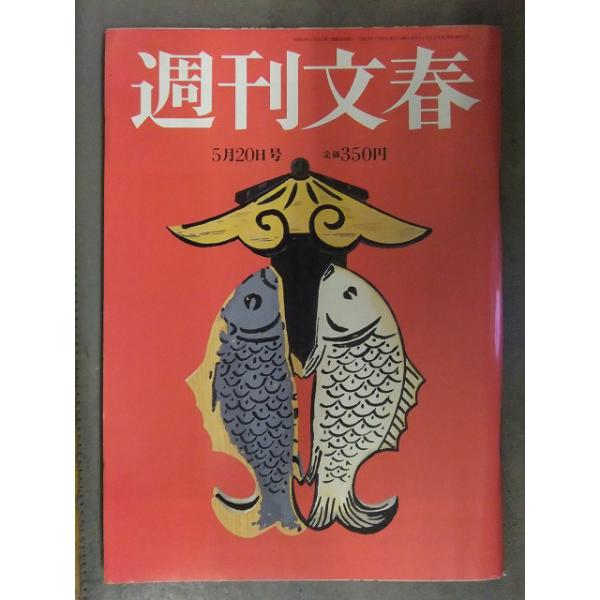 週刊文春 2010年5月20日 倉科カナ 丸岡いずみ 文藝春秋