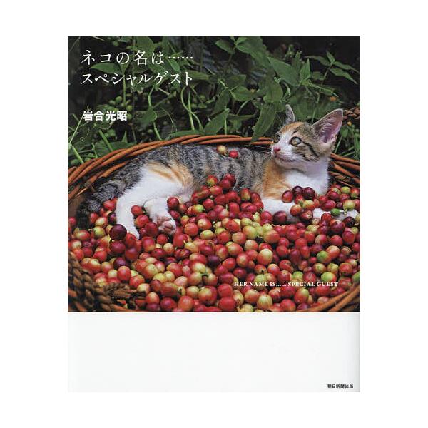 ネコの名は……スペシャルゲスト/岩合光昭