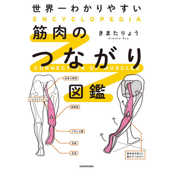 著:きまたりょう出版社:KADOKAWA発売日:2023年10月キーワード:世界一わかりやすい筋肉のつながり図鑑きまたりょう せかいいちわかりやすいきんにくのつながりずかん セカイイチワカリヤスイキンニクノツナガリズカン きまた りよう キ...