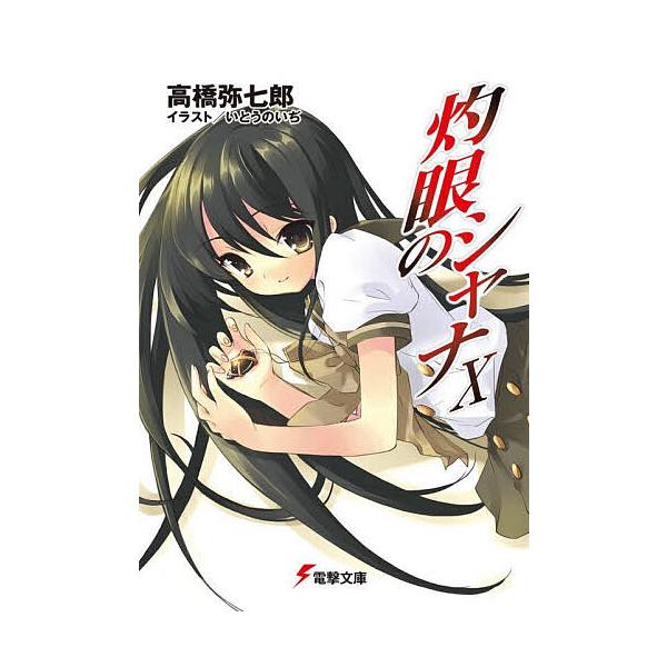 灼眼のシャナ 10/高橋弥七郎
