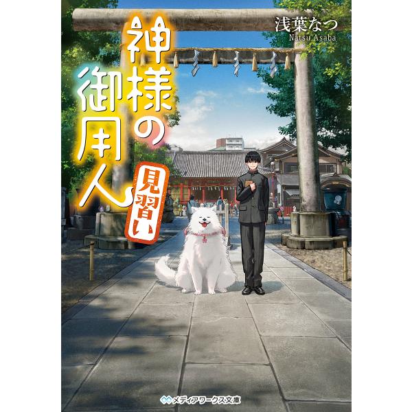 著:浅葉なつ出版社:KADOKAWA発売日:2025年07月シリーズ名等:メディアワークス文庫 あ５−１７キーワード:神様の御用人見習い浅葉なつ かみさまのごようにんみならいめでいあわーくすぶんこ カミサマノゴヨウニンミナライメデイアワーク...
