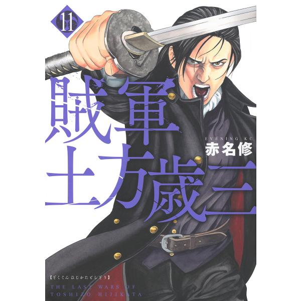 賊軍土方歳三 11/赤名修