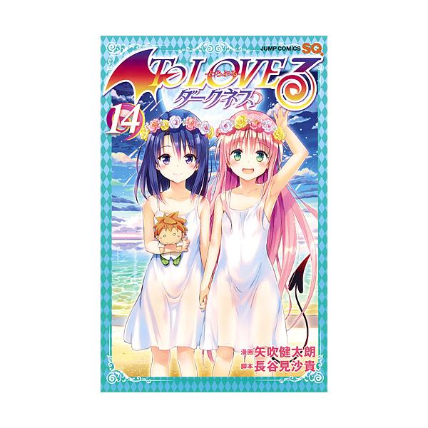 矢吹健太朗 長谷見沙貴 To LOVEる ダークネス チラシ グッズ セット To