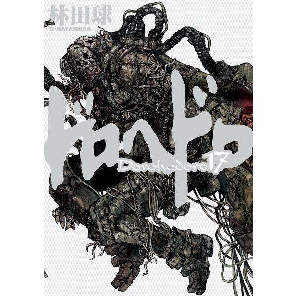 ドロヘドロ 17/林田球