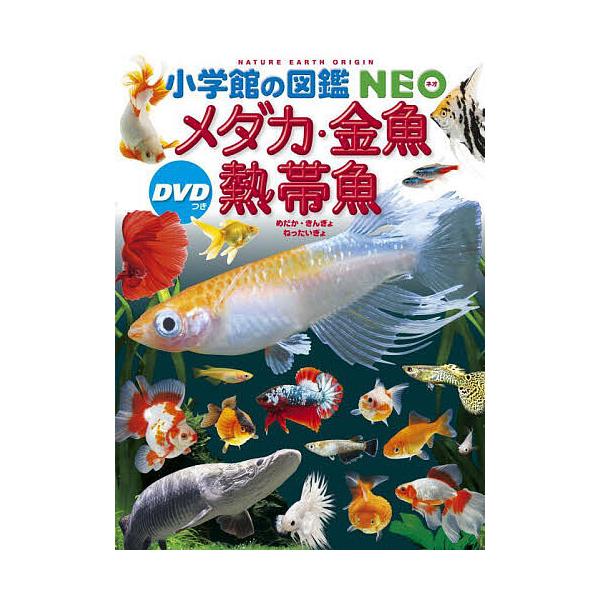 ※商品画像はイメージや仮デザインが含まれている場合があります。帯の有無など実際と異なる場合があります。指導:橋本寿史　指導:・監修・執筆岡本信明　指導:・監修・執筆斉藤憲治出版社:小学館発売日:2024年06月シリーズ名等:小学館の図鑑NE...