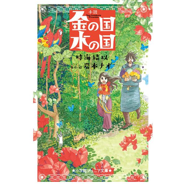 金の国水の国 小説/岩本ナオ/・絵時海結以