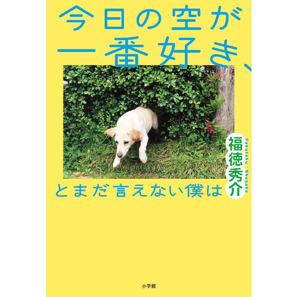 ※商品画像はイメージや仮デザインが含まれている場合があります。帯の有無など実際と異なる場合があります。著:福徳秀介出版社:小学館発売日:2020年11月キーワード:今日の空が一番好き、とまだ言えない僕は福徳秀介 きようのそらがいちばんすきと...