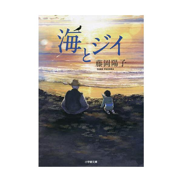 海とジイ/藤岡陽子