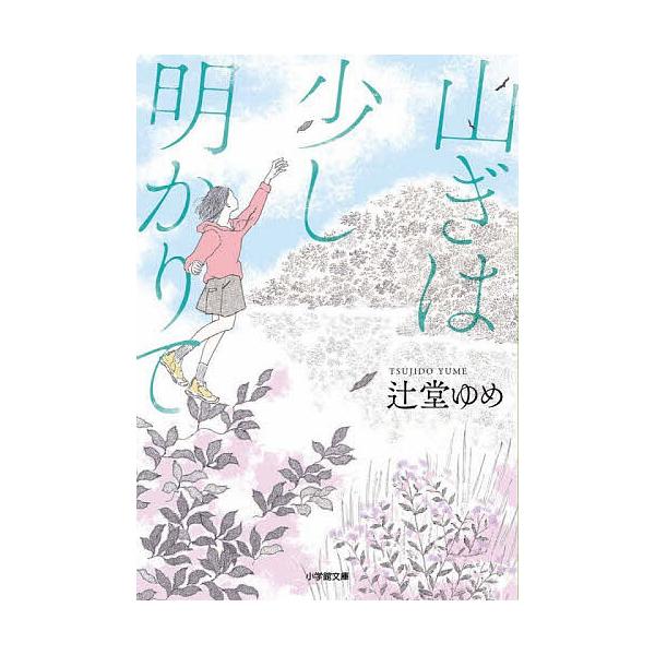 ※商品画像はイメージや仮デザインが含まれている場合があります。帯の有無など実際と異なる場合があります。著:辻堂ゆめ出版社:小学館発売日:2025年12月シリーズ名等:小学館文庫 つ１４−２キーワード:山ぎは少し明かりて辻堂ゆめ やまぎわすこ...