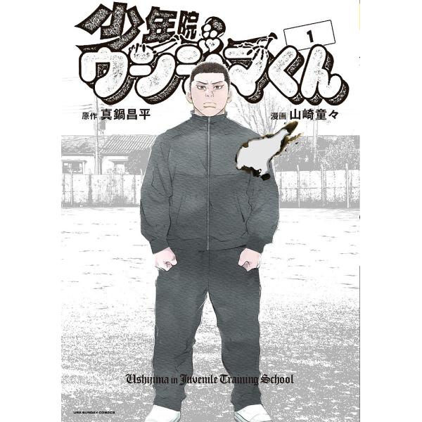 少年院ウシジマくん 1/真鍋昌平/山崎童々 : bookfanプレミアム - 通販