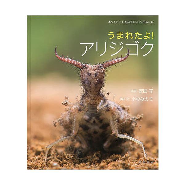 うまれたよ!アリジゴク/安田守/小杉みのり