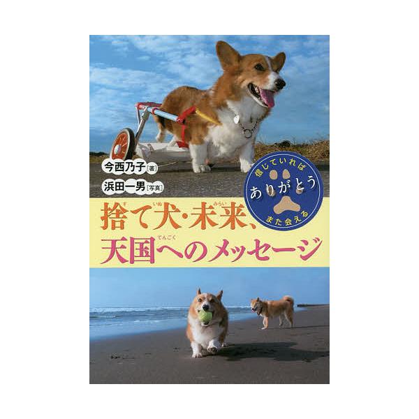※商品画像はイメージや仮デザインが含まれている場合があります。帯の有無など実際と異なる場合があります。著:今西乃子　写真:浜田一男出版社:岩崎書店発売日:2016年09月シリーズ名等:ノンフィクション・生きるチカラ ２３キーワード:捨て犬・...