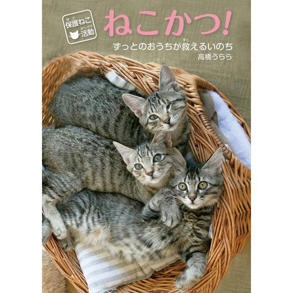 保護ねこ活動ねこかつ! ずっとのおうちが救えるいのち/高橋うらら