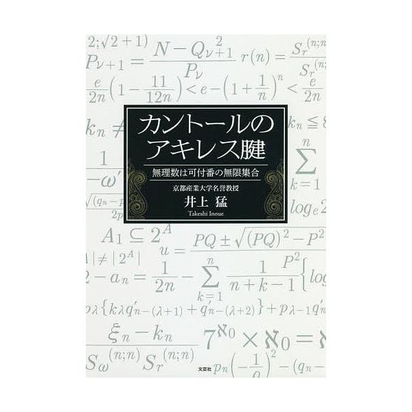 カントールのアキレス腱 無理数は可付番の無限集合/井上猛