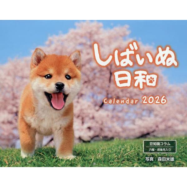 出版社:インプレス発売日:2025年09月キーワード:カレンダー’２６しばいぬ日和 かれんだー２０２６しばいぬびより カレンダー２０２６シバイヌビヨリ もりたよねお モリタヨネオ