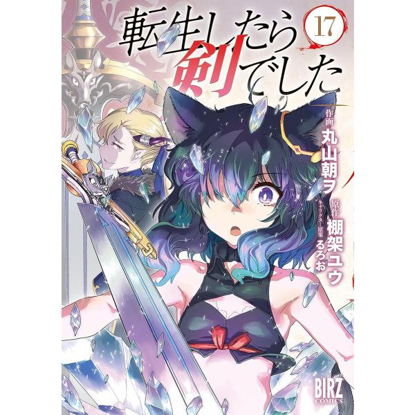 転生したら剣でした 17