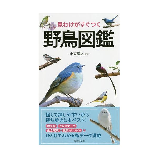 監修:小宮輝之出版社:成美堂出版発売日:2020年05月キーワード:見わけがすぐつく野鳥図鑑小宮輝之 みわけがすぐつくやちようずかん ミワケガスグツクヤチヨウズカン こみや てるゆき コミヤ テルユキ