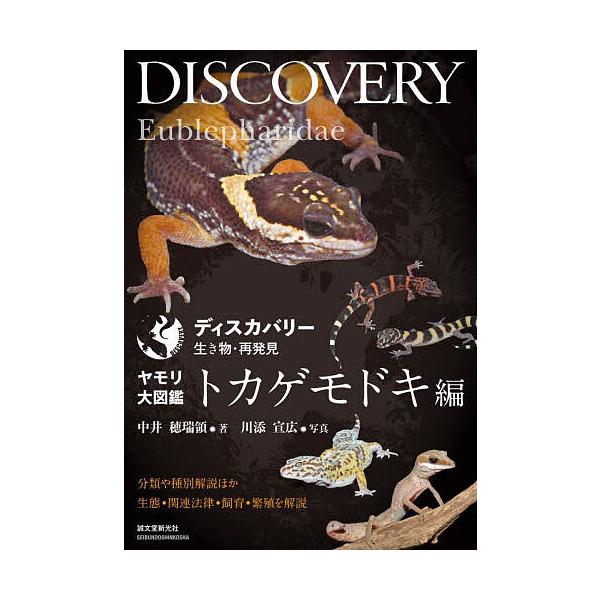 ※商品画像はイメージや仮デザインが含まれている場合があります。帯の有無など実際と異なる場合があります。著:中井穂瑞領　写真:川添宣広出版社:誠文堂新光社発売日:2022年06月シリーズ名等:ディスカバリー生き物・再発見キーワード:ヤモリ大図...