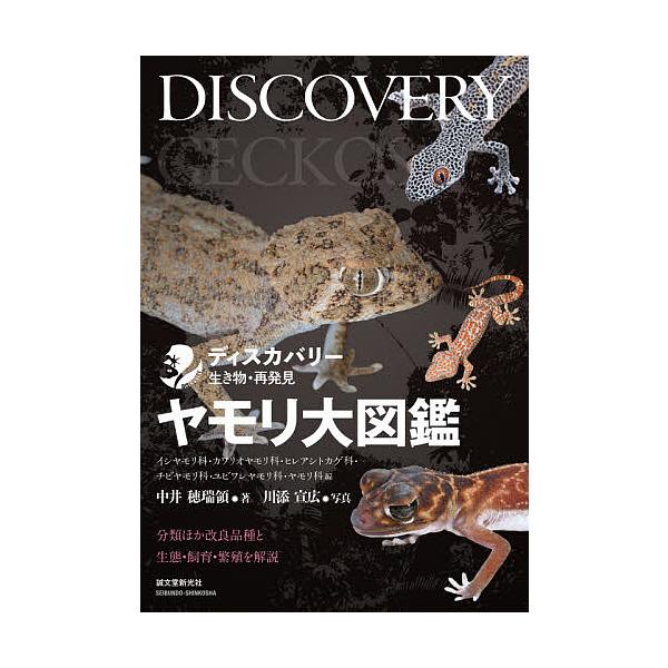 ※商品画像はイメージや仮デザインが含まれている場合があります。帯の有無など実際と異なる場合があります。著:中井穂瑞領　写真:川添宣広出版社:誠文堂新光社発売日:2020年10月シリーズ名等:ディスカバリー生き物・再発見キーワード:ヤモリ大図...