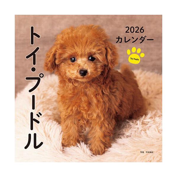 ※商品画像はイメージや仮デザインが含まれている場合があります。帯の有無など実際と異なる場合があります。出版社:誠文堂新光社発売日:2025年09月キーワード:２０２６カレンダートイ・プードル ２０２６かれんだーといぷーどる ２０２６カレンダ...
